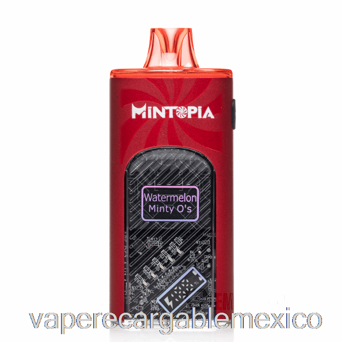 Vape Recargable Mintopia Turbo 9000 Desechable Sandía Minty O's